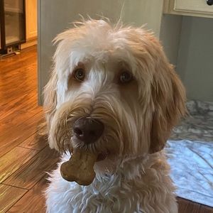 Meet your Posher, Sumeya